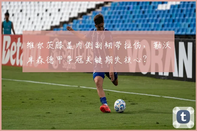 维尔茨膝盖内侧副韧带拉伤，勒沃库森德甲争冠关键期失核心？